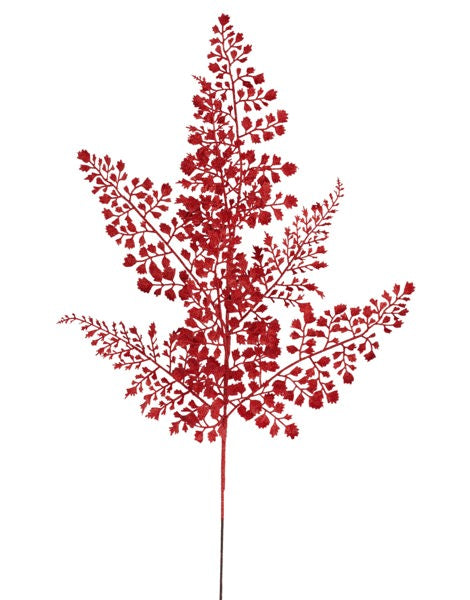 a red plant with leaves on a white background