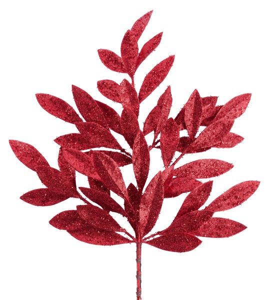 a red plant with leaves on a white background