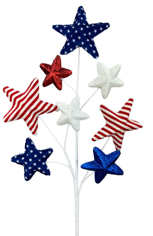a red, white and blue flower with stars on it