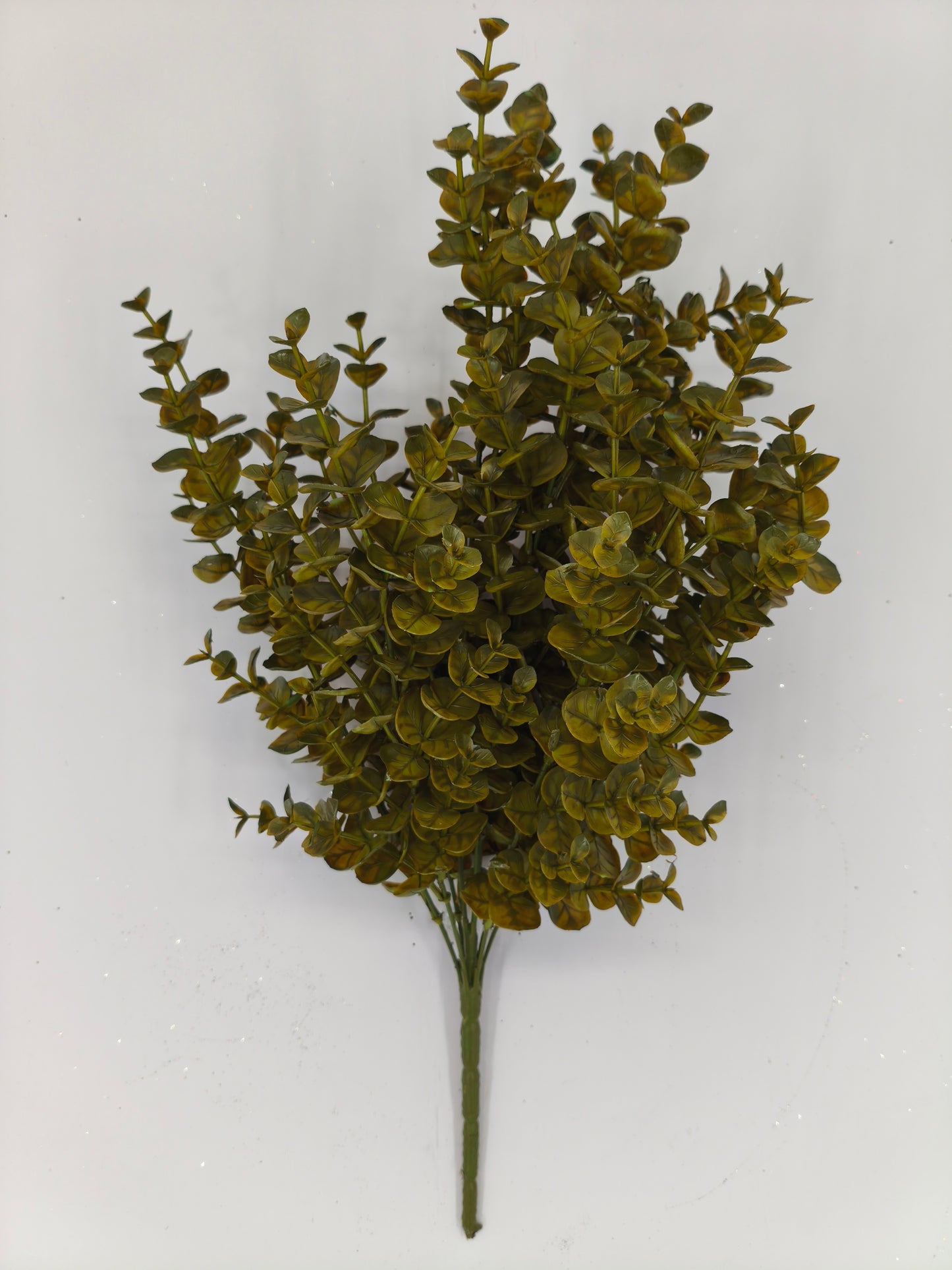 A bunch of green leaves or branches with a textured appearance, arranged in a way that they appear to be growing from a central stem.