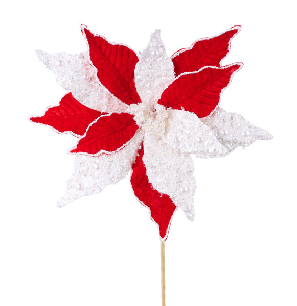 a red and white poinsettia on a stick