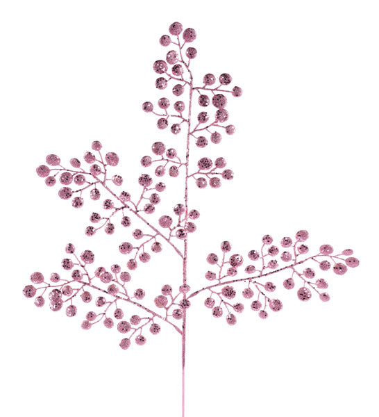 a close up of a flower on a white background