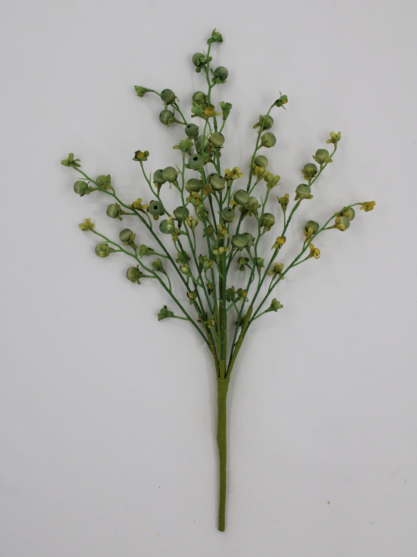 A single green stem with small yellow flowers protruding from it, arranged in a vertical fashion against a plain white background.
