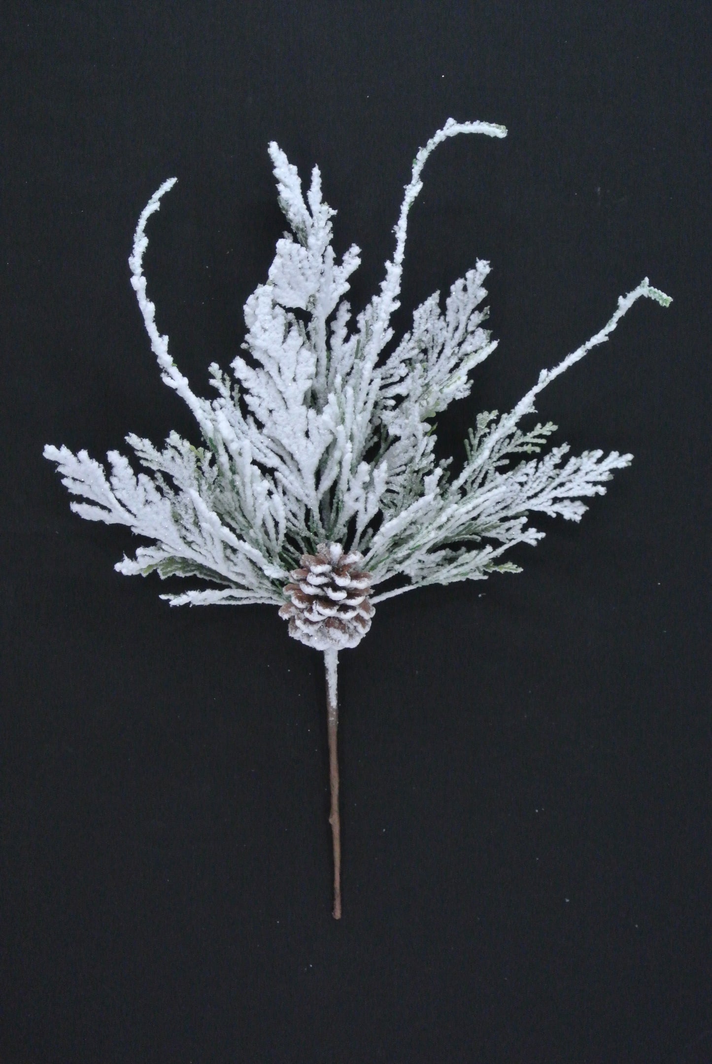 A branch with snow-covered pine needles and a pine cone is shown against a dark background.