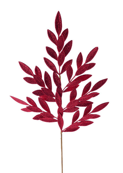 a red plant with leaves on a white background