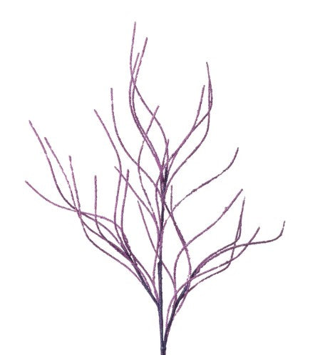 a tree with no leaves is shown on a white background