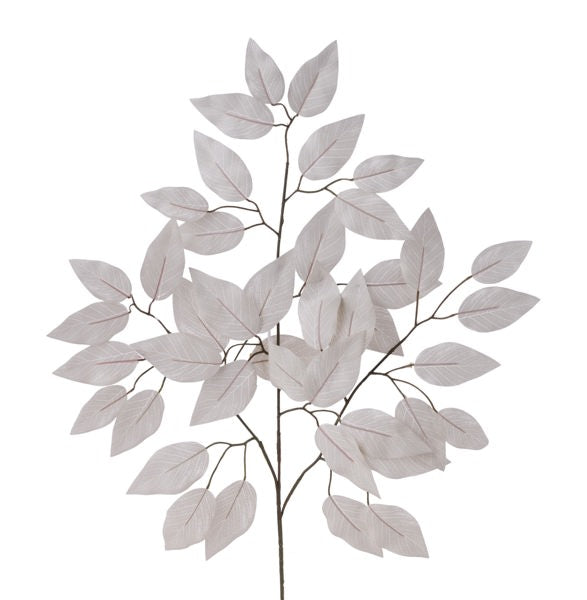 a branch with white leaves on a white background