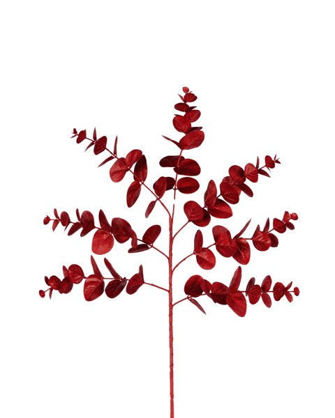 a plant with red leaves on a white background