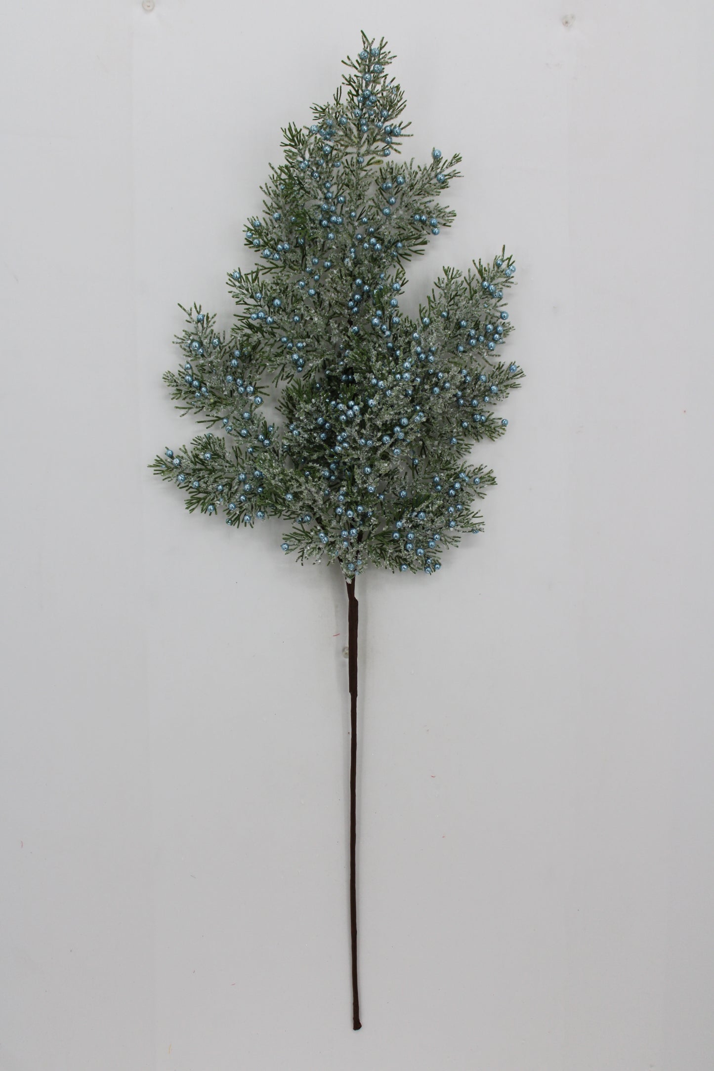 A single branch with green leaves and small blue berries is displayed against a white background.