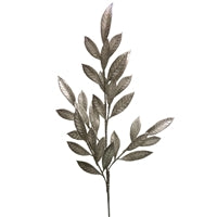a plant with leaves on a white background