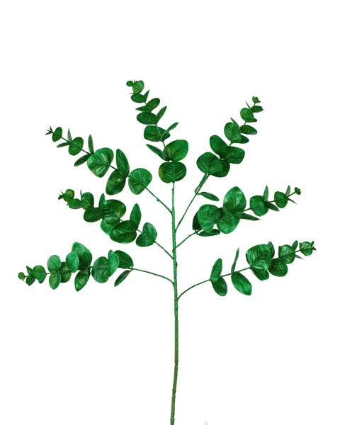 a plant with green leaves on a white background