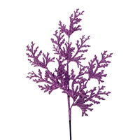 a purple plant is shown against a white background