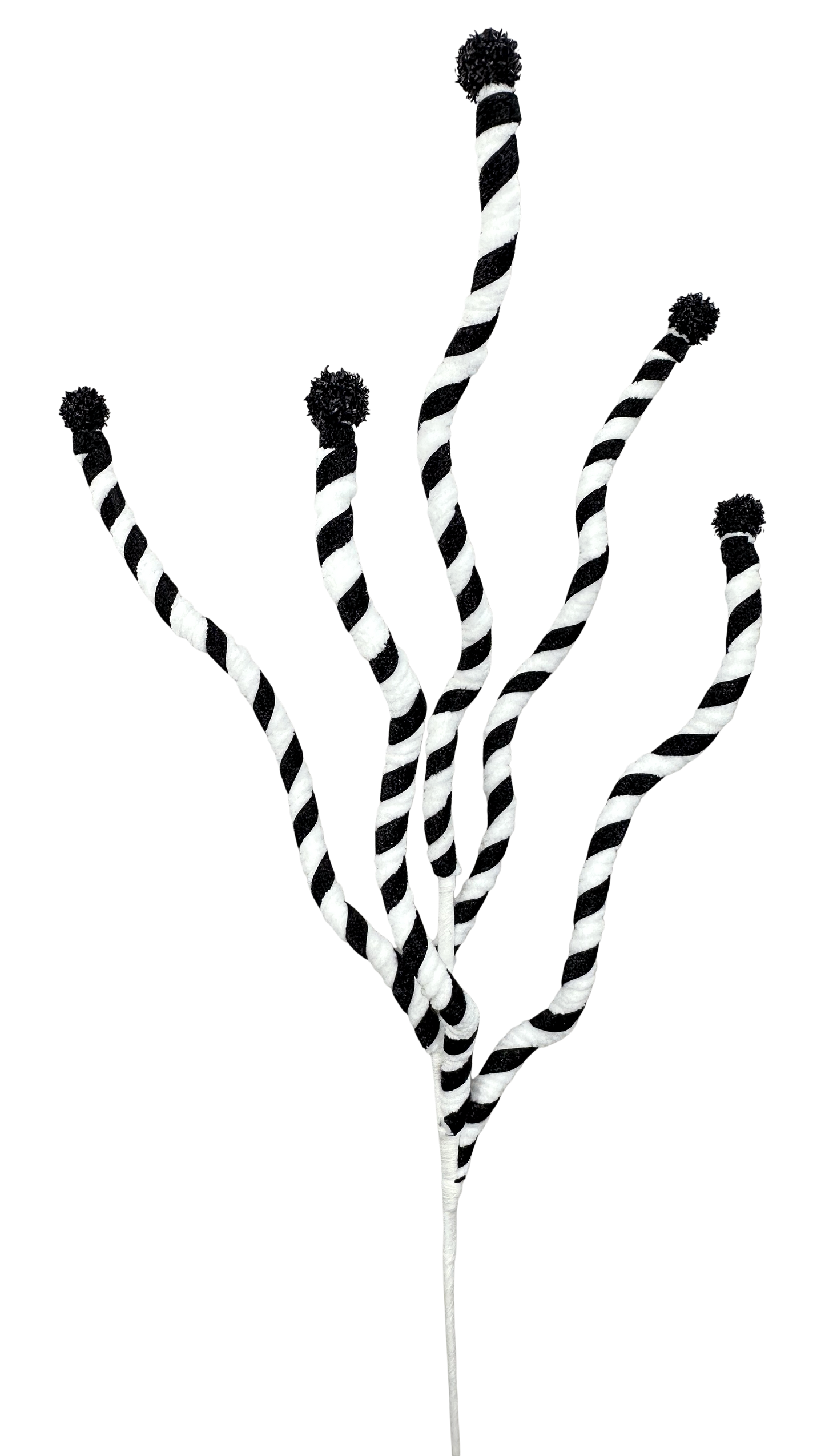a group of black and white striped pom poms arranged in a stylized manner, resembling a plant or a decorative element.