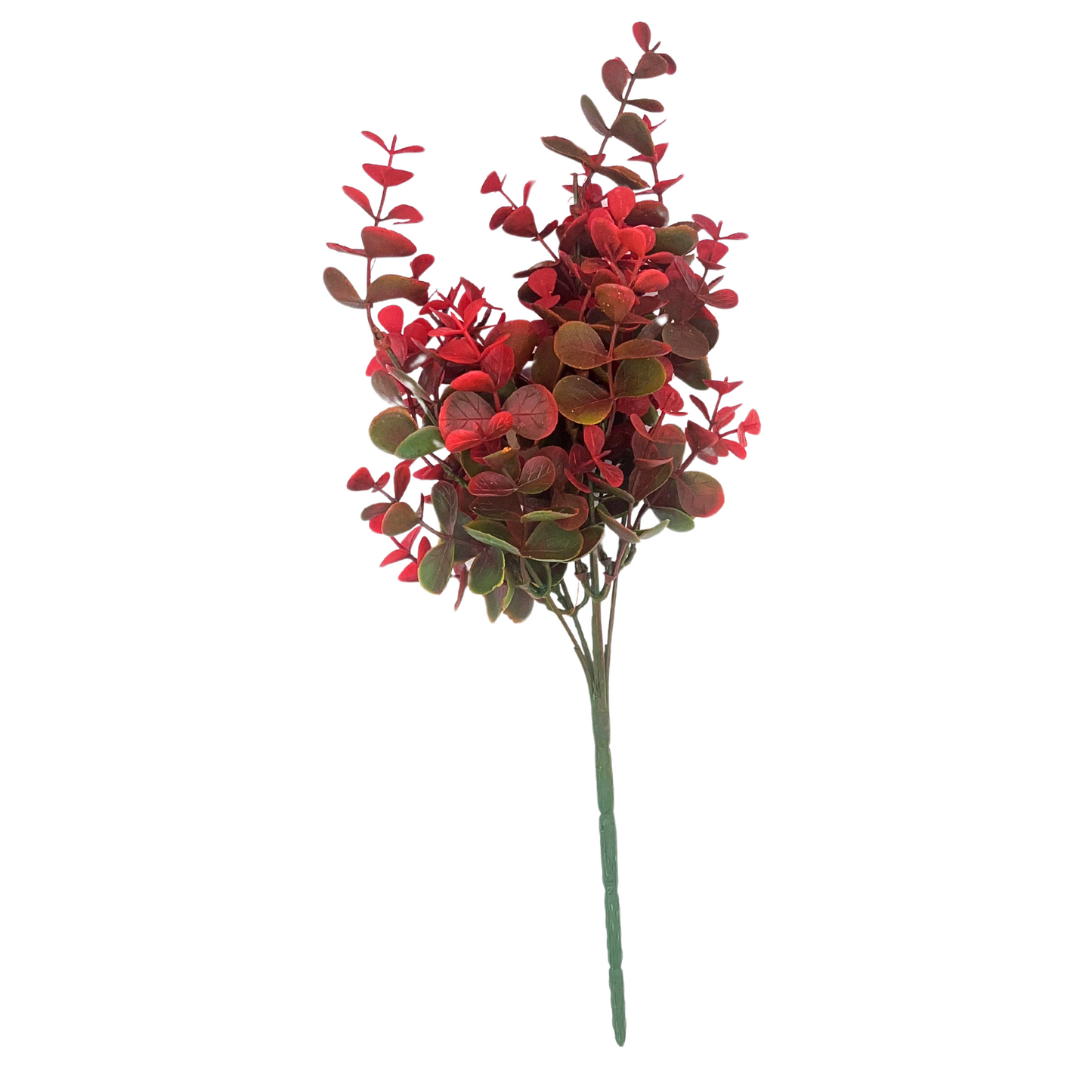 a single red flower on a stem against a white background