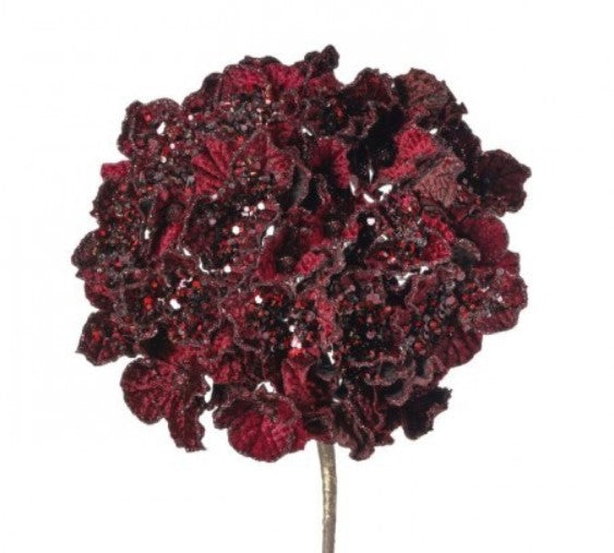 A bouquet of dark red flowers with a textured appearance, creating a visually striking and intricate arrangement.