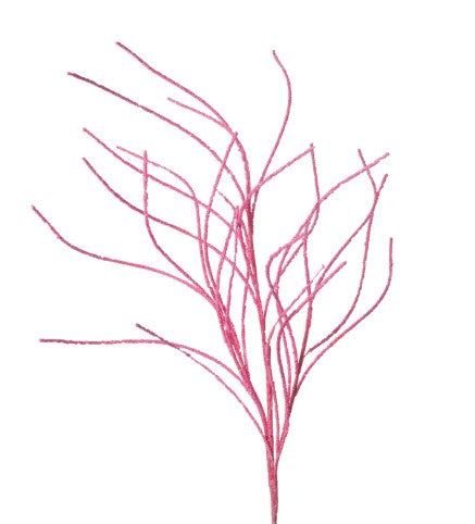 a branch with pink stems on a white background