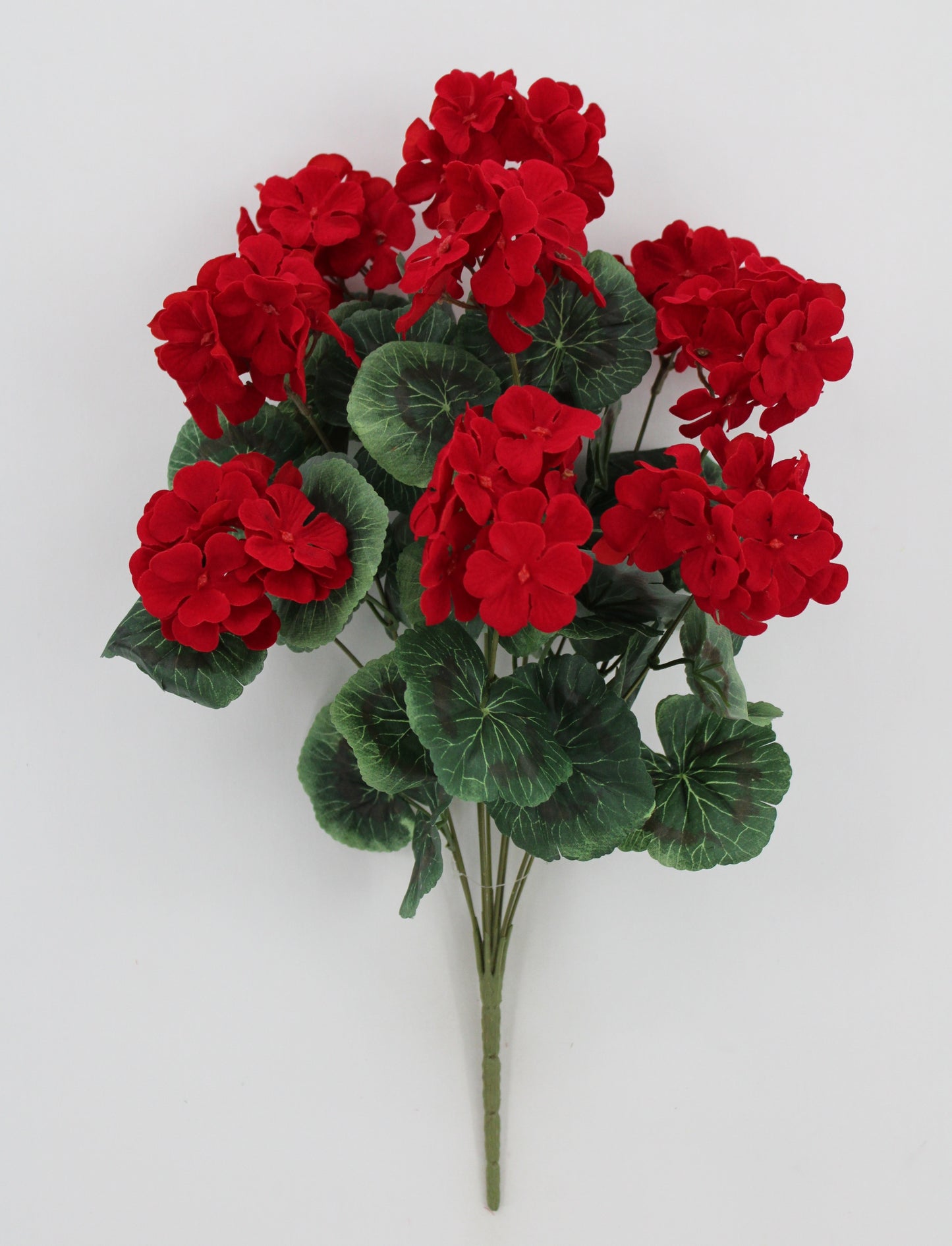 A bouquet of vibrant red hydrangea flowers with green leaves, arranged in a visually appealing manner against a plain white background.