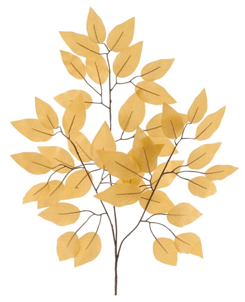 a branch with numerous yellow leaves, creating a vibrant and natural scene.