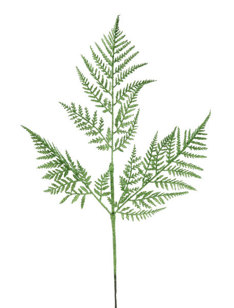 a green plant with leaves on a white background