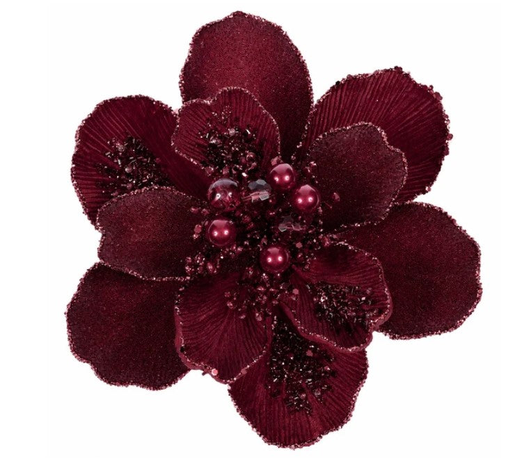 A close-up image of a large, burgundy-colored flower with numerous small, round petals and a central cluster of small, round petals.