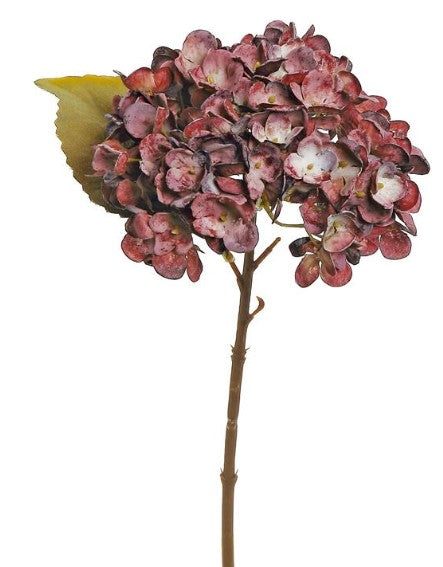 DRIED HYDRANGEA CUTTING, 13", 6" BLOOM, BURGUNDY-D136-BU