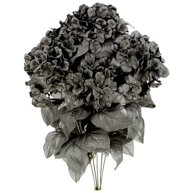 a bouquet of black flowers on a white background