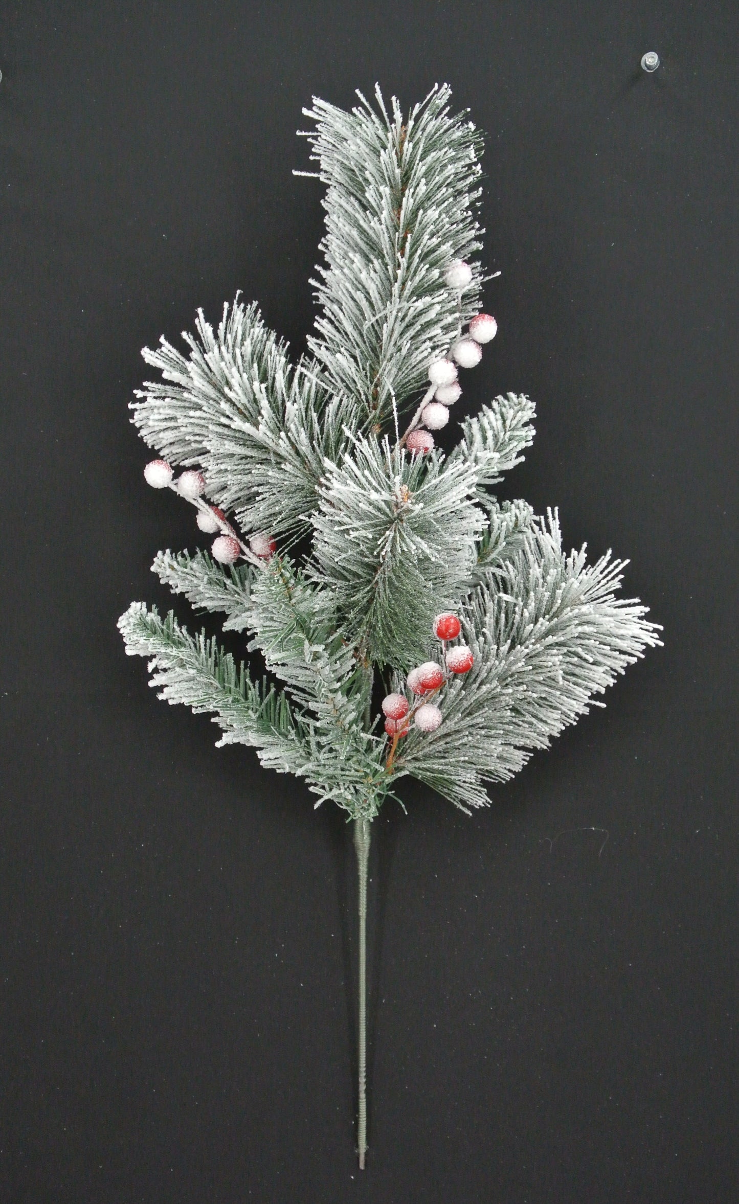 A sprig of pine needles with red berries on a black background.
