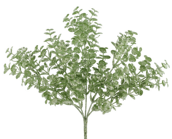 A lush, green plant with numerous leaves and branches, creating a dense, verdant appearance.