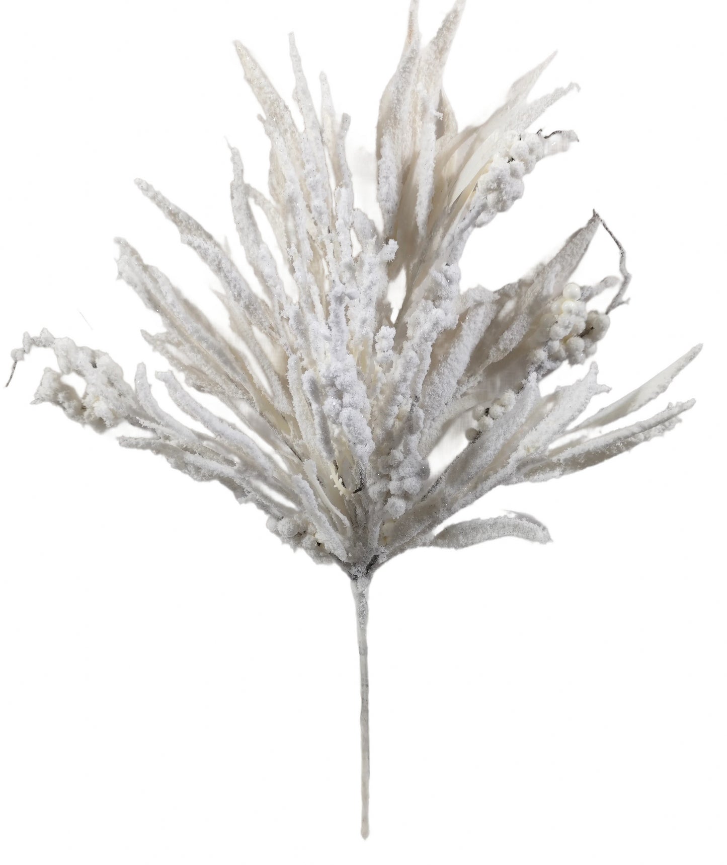 A close-up view of a delicate, frosted branch with intricate, snow-like patterns.