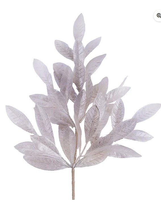 A single, leafy plant stem with numerous small, light-colored leaves attached to it.