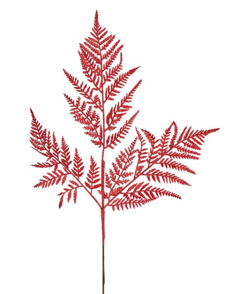a red plant with leaves on a white background