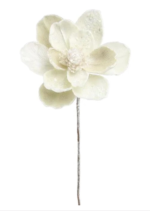 A single, delicate white flower with a long stem is the central focus of the image.
