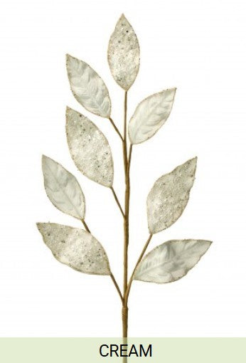 A branch with cream-colored leaves against a white background.