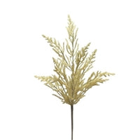 a tall plant is shown against a white background