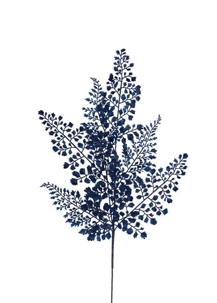 a blue plant is shown against a white background