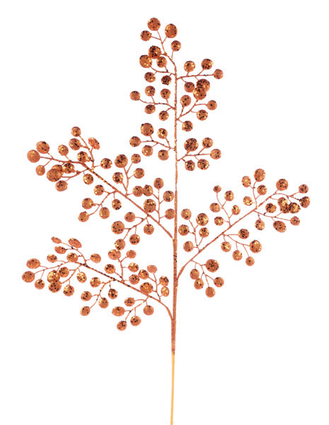 a close up of a flower on a white background