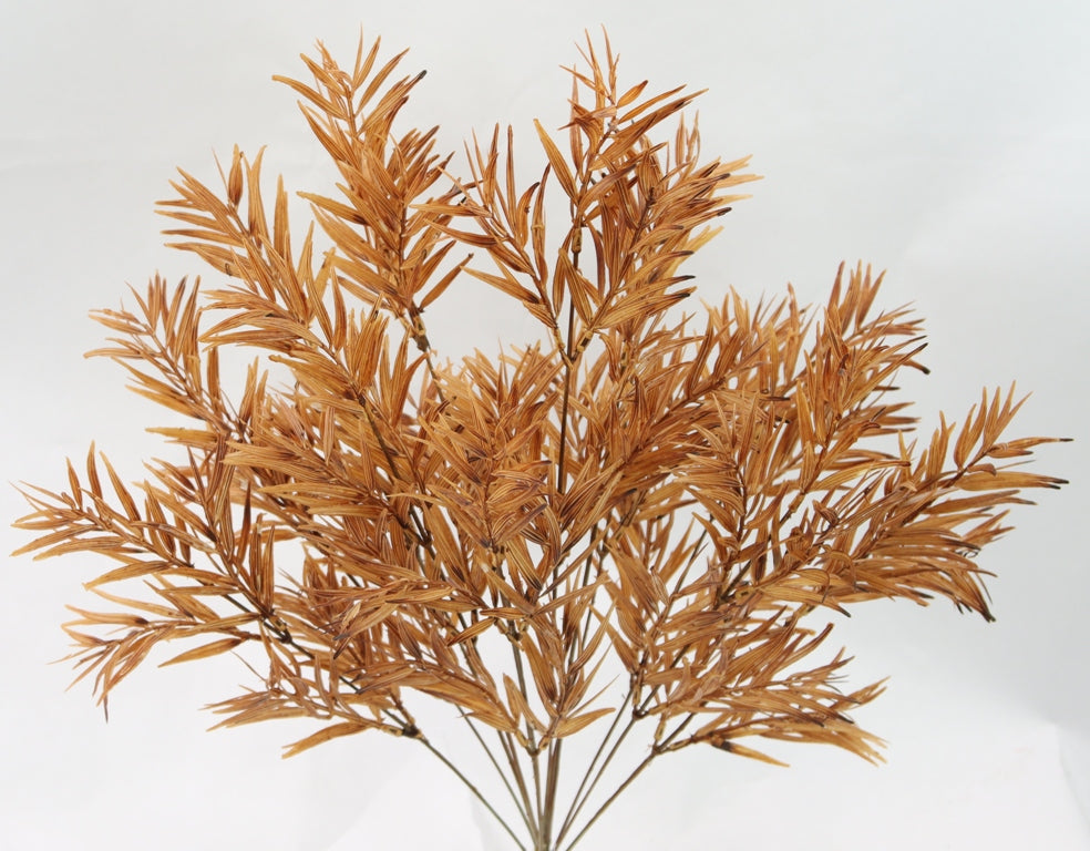 a close-up view of a branch with brown, dried leaves or branches, creating a natural and textured appearance.