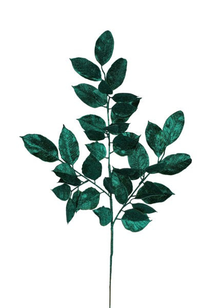 a plant with green leaves on a white background