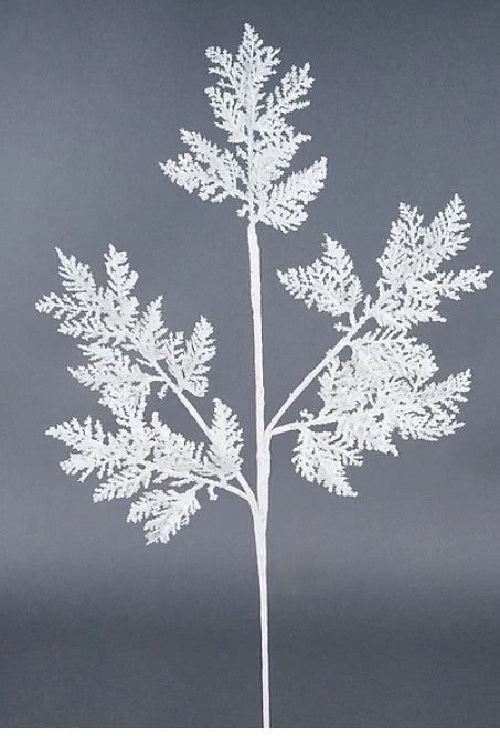 A white, snowflake-like branch with intricate, delicate patterns against a dark background.