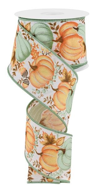 2.5" X 10Yd Wired Ribbon-Lt. Orange Lt. Sage Pumpkin/Gourd/Leaves-RGE1987J3-Fall