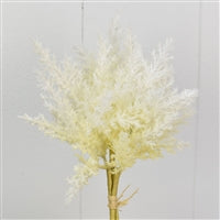 a vase filled with white flowers on top of a table