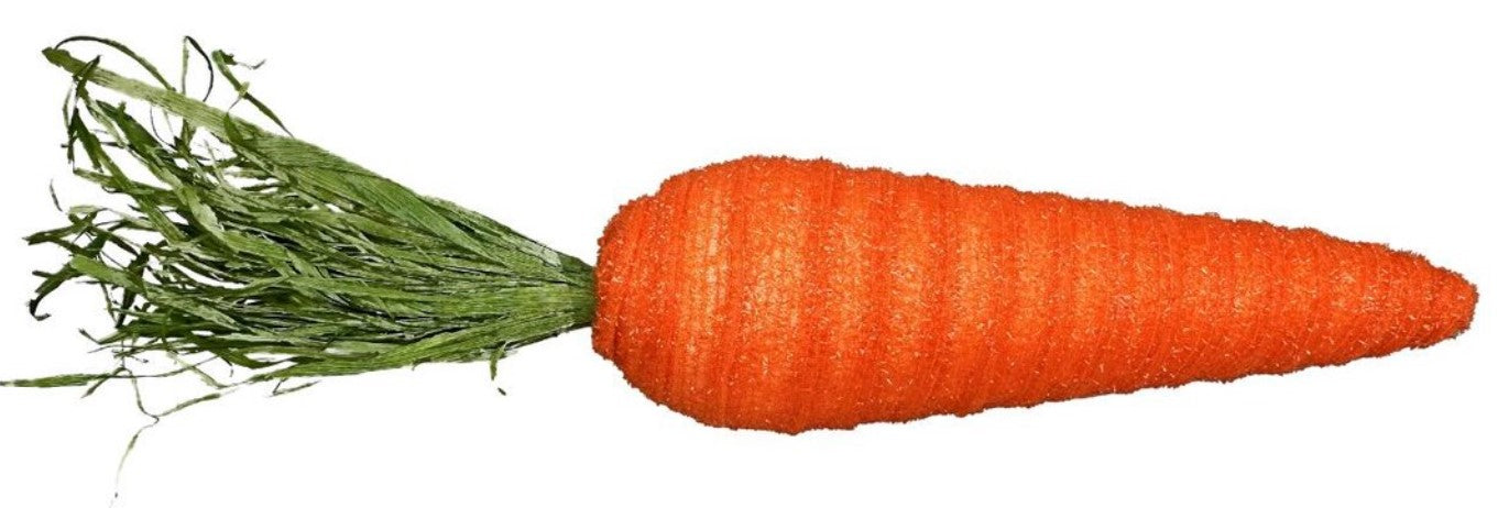 a close up of a carrot on a white background
