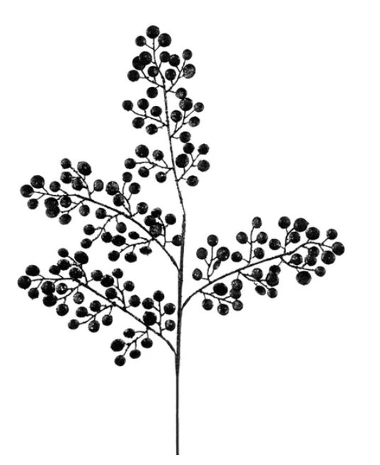 A black and white image depicting a branch with numerous small, round berries or berries with a textured appearance.