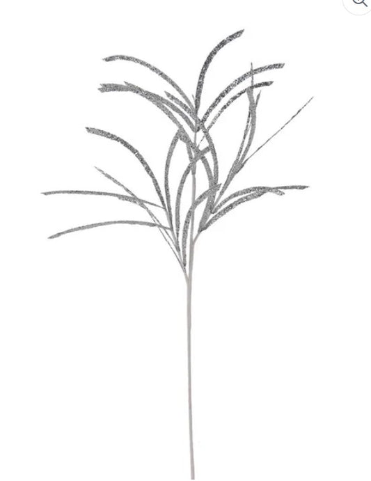 A black and white image of a plant with long, thin leaves or stems.