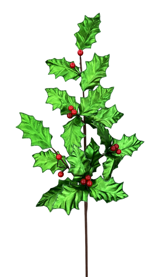 A tall, green holly bush with red berries growing on it.