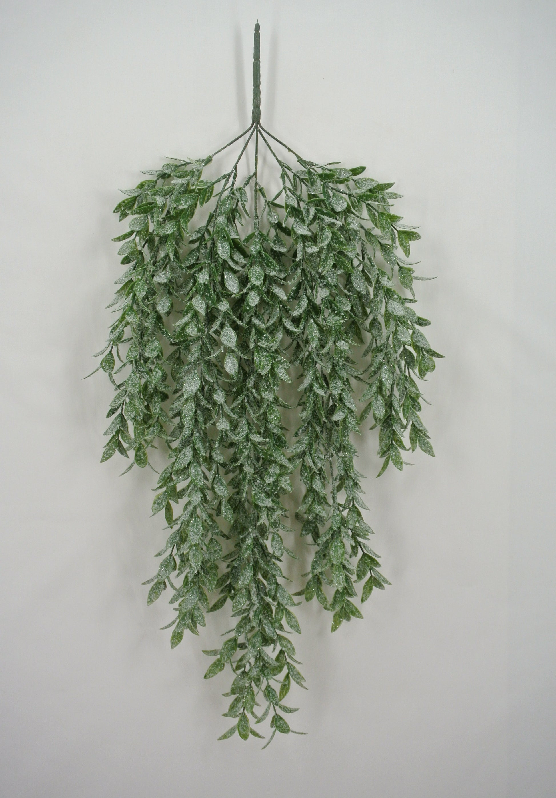 A branch of green leaves hanging against a white background.