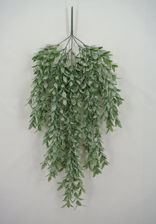 A branch of green leaves hanging against a white background.