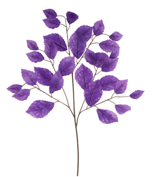 A branch with purple leaves against a white background.