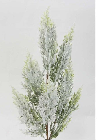 a small white tree with snow on it
