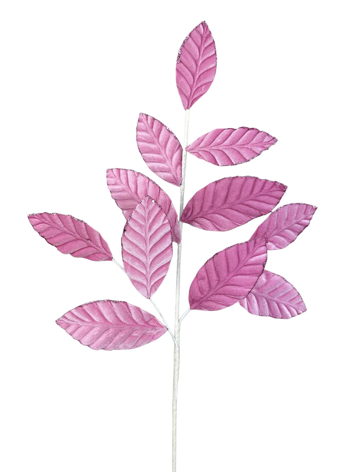 A branch with pink leaves against a gray background.